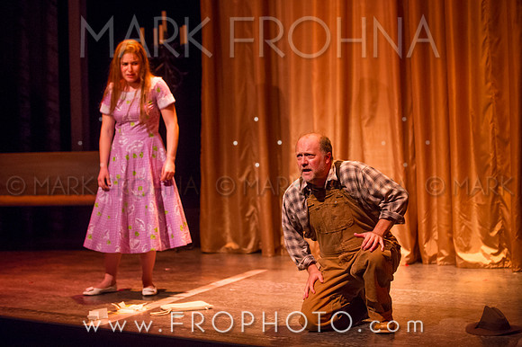 Skylight Violet Night 1 Highlights-42