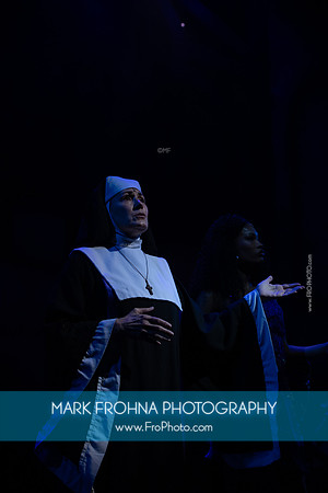 Skylight Sister Act Janet-16