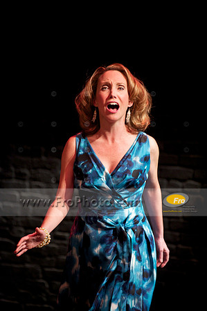 Skylight Ingenue 038