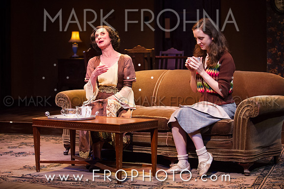 In Tandem Glass Menagerie-11