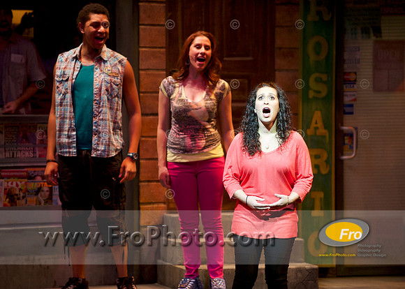 Skylight In the Heights Preview 018