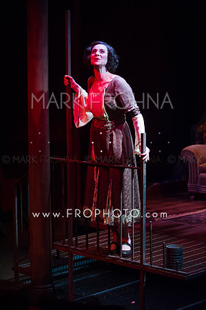 In Tandem Glass Menagerie-74