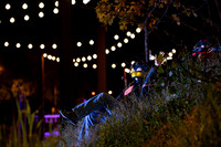 Wild Space Dance InSite Cycles-20