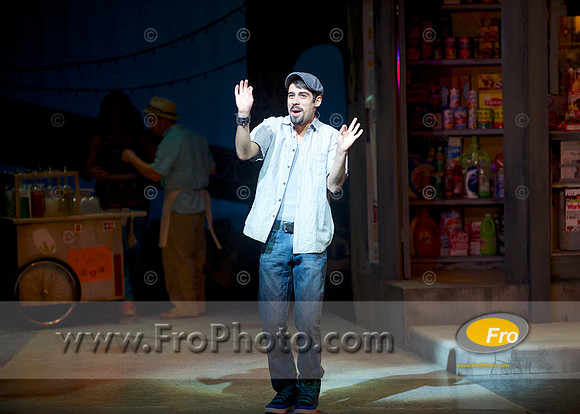 Skylight In the Heights Preview 003
