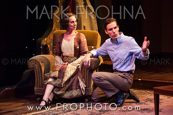 In Tandem Glass Menagerie-73