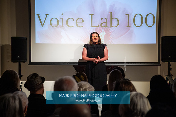 MOT Voice Lab 100-76