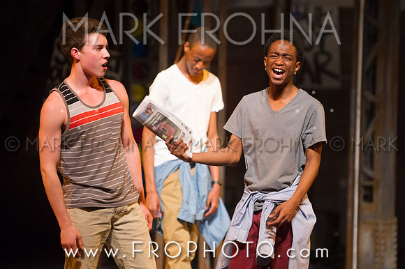 Skylight HSM 2014-109