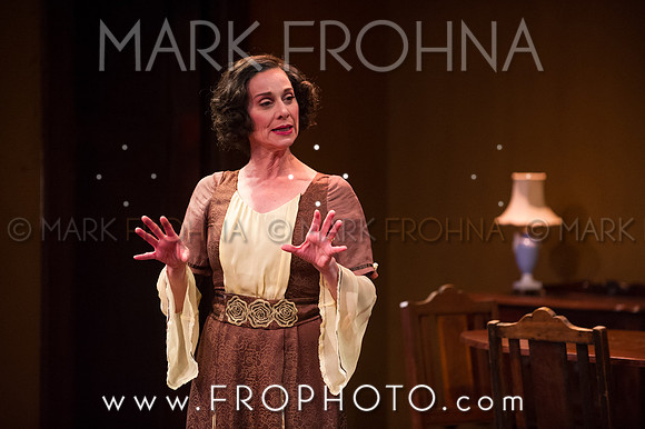In Tandem Glass Menagerie-18