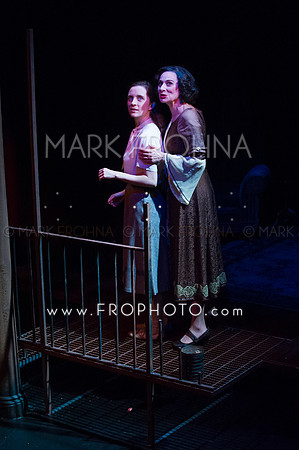 In Tandem Glass Menagerie-75