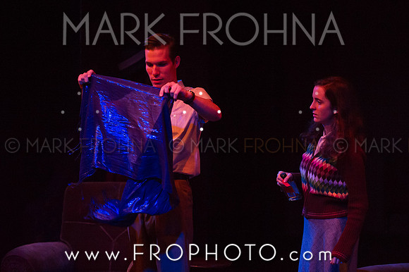 In Tandem Glass Menagerie-47