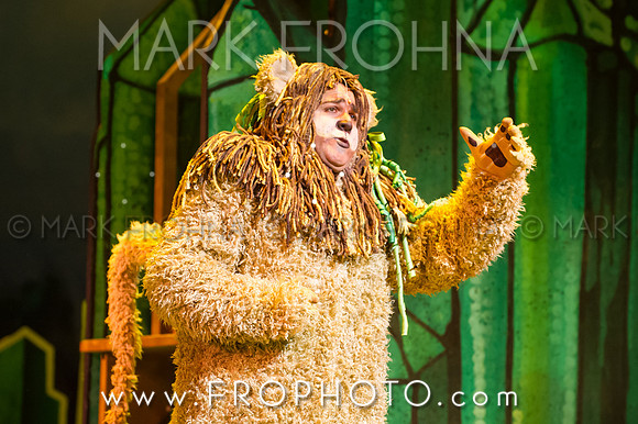 Skylight Wizard of Oz Selects-35
